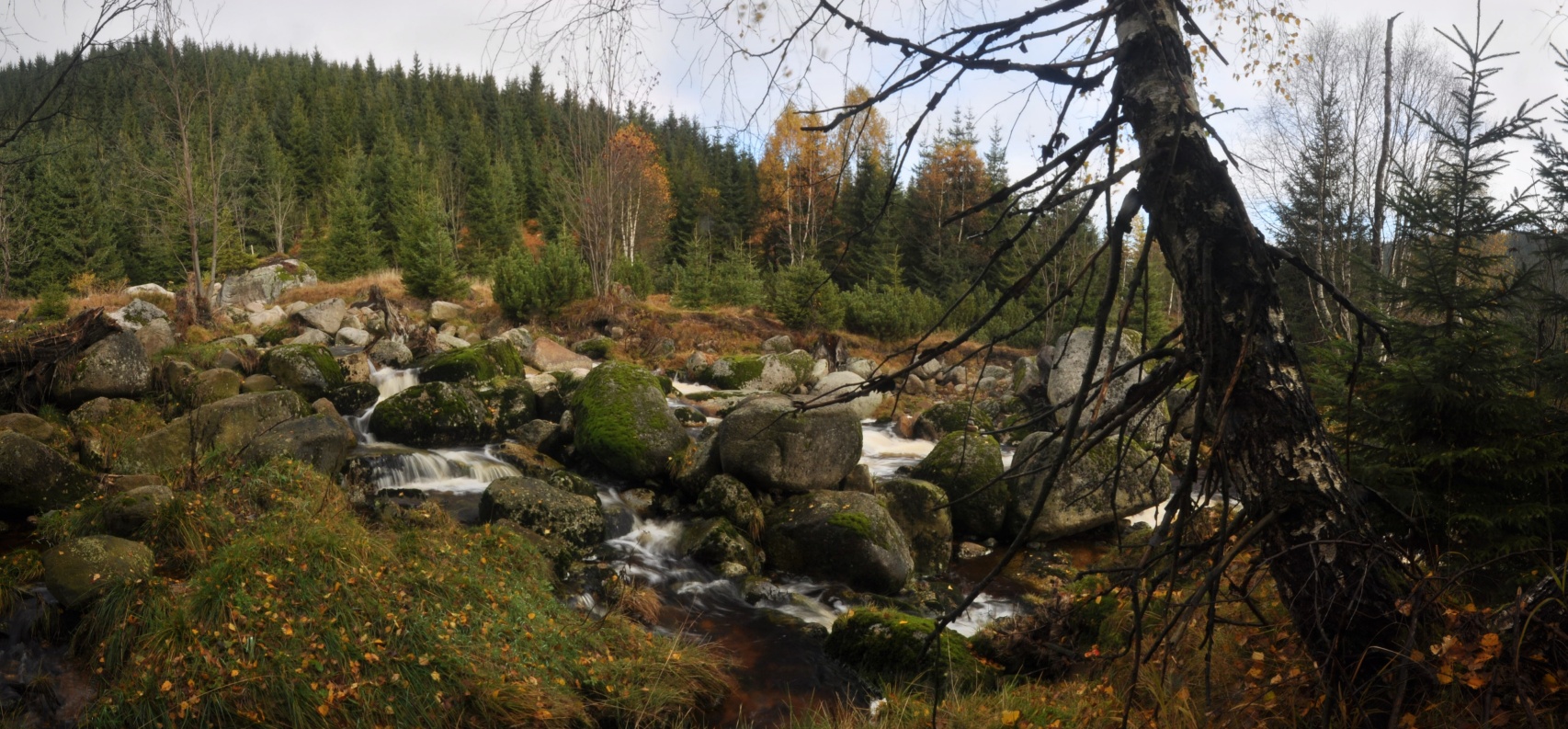 DSC_0483_panorama